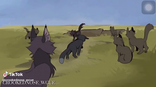 Poor NightCloud 🙁🙁#nightcloudwarriors #warriorcats #warriorcatsedit #fyp #Warriorcats #breezepeltwarriors #crowfeatherwarriorcats || CREDS : HEATHER - Complete NightCloud MAP - Vampviz ||