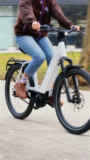 Riese & Müller Nevo4 GT Vario Smart