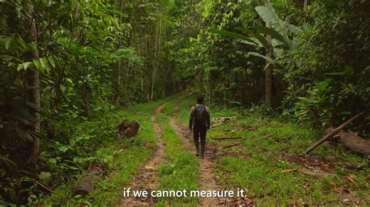 Tief im mittleren Magdalena-Tal in Kolumbien helfen solarbetriebene Kameras und Mikrofone mit KI dabei, die Biodiversität zu schützen. Die Fundación Biodiversa ist das erste Pilotprojekt von Microsofts Project SPARROW, das Wildtier-Erkenntnisse in Echtzeit liefert. Lange und beschwerliche Expeditionen in entlegene Gebiete könnten sich damit erübrigen. http://msft.it/6185Q8TlZ | Microsoft