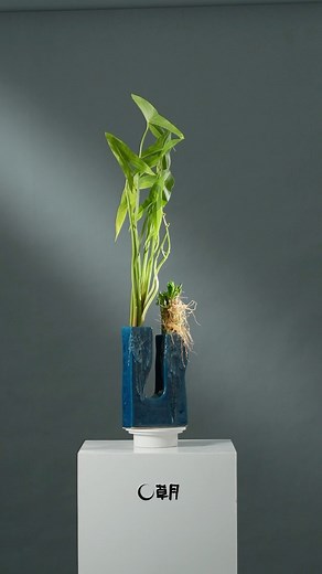 4K views · 162 reactions | Ikebana Slows You Down: Engaging with branches and flowers puts you into a state of relaxation, providing a retreat from all external thoughts. Are you interested to know more? Just send me a direct message. Demonstration arrangement made at the @cohimflowerschool #ikebana #ikebana #slowdown #ikebanaclass #ikebanameditation | Ikebana Belgium | Facebook