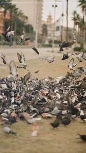 354 reactions · 8 comments | 懶️ | PROVA | Facebook