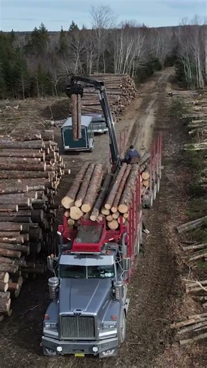 More Loads Out of the Woods, Less Time Standing Still