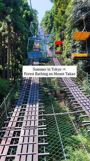 📍Tokyo 🇯🇵 Have you ever heard of Forest Bathing? It’s a term emerged in Japan in the 1980s which is called Shinrin Yoku (森林浴) in Japanese. Shinrin is Forest, Yoku means Bathing, the whole phrase means bathing in the forest atmosphere, or taking in the forest through all senses. And it’s not a difficult thing to do at all. It’s simply being in nature, getting yourself reconnected with nature, letting the sounds of the forests, the fragrance of the trees and grasses, the sunlight flickering thr