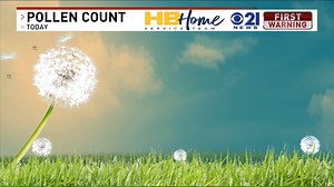 Pollen Count | Will your allergies be bothering you today?