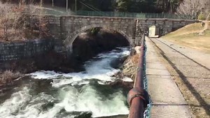 17K views · 18 reactions | MassLive Worcester on Reels | Facebook