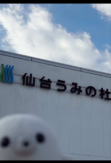 仙台うみの杜水族館のミニビーンズあざらし