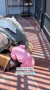 111K views · 2.2K reactions | Lala was surprised by Dad's gift of a new fancy chair! #Monkeylala #Kakapage | Kaka Page | Facebook