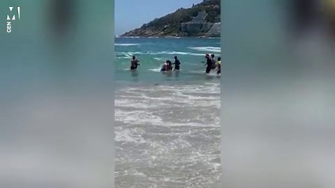 Violent seal attacks Raised By Wolves actress in South Atlantic Ocean