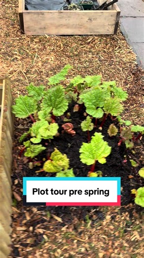 Spring Preparation: Allotment Plot Update
