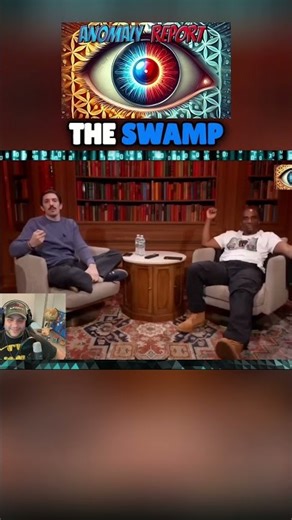 What Is 'The Swamp' Unpacking Political Power & Reform