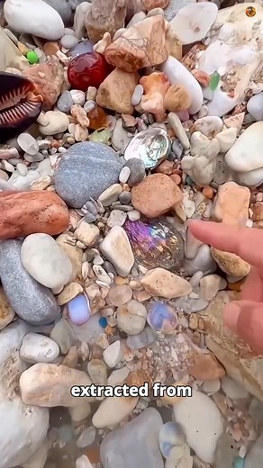 145K views · 813 reactions | Why People Get Paid a Fortune to Stare at Rocks | Factor Shorts | Facebook