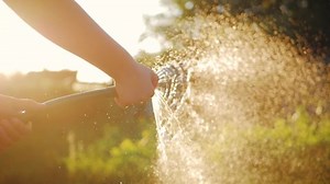 Funny little girl in hat playing with garden hose in sunny backyard. Adorable little girl playing with a garden hose on hot and sunny summer evening. Summer outdoors activity for kids.