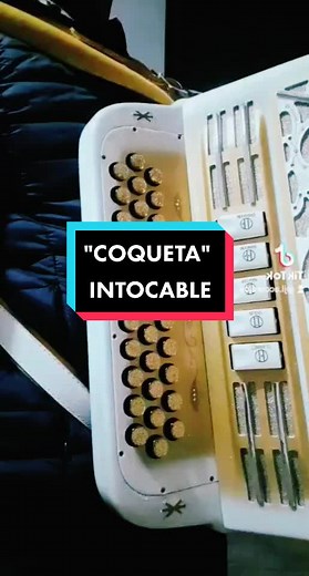 Voice Effects on Accordion Music Performance