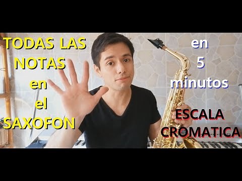 Learn ALL THE NOTES of the SAX in just 5 minutes!