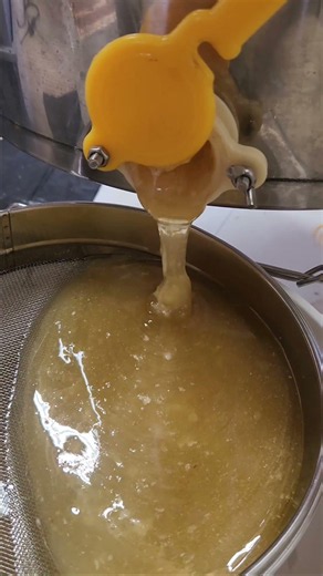 🍯 2026 Honey Harvest | Fresh Local Honey Flowing! #beekeeping #honey #viral