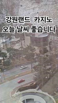 1월 20일 화요일 강원랜드 카지노