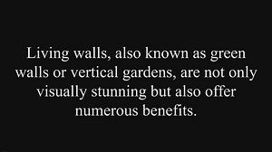 How to Create a Living Wall with Houseplants: Complete Guide