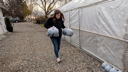 189K views · 7.4K reactions | Winter Seed Sowing! The Least Expensive Way to Grow Seeds! 螺 | Garden Answer | Facebook