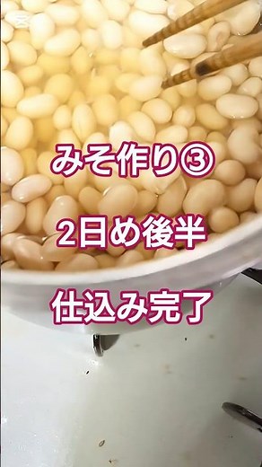 初めての味噌作り③ 仕込み完了まで【手作り味噌】2日め後半 これで6ヶ月後まで置きます