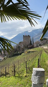 Ihr wollt den besten View-Point über Meran entdecken? 😉🤩 Dann müsst ihr unbedingt den Pulverturm besuchen! 🗼 Entlang des Tappeinerweges befindet sich direkt oberhalb der Pfarrkirche von Meran der Pulverturm, der ehemalige Bergfried eines Schlosses. 🏰 Eine moderne Stiege ermöglicht den leichten Aufstieg und oben angelangt werdet ihr mit einem 360° Panorama über die Stadt Meran und das gesamte Burggrafenamt belohnt! 😍 Wenn auch ihr den Pulverturm schon mal besucht habt, dann schickt uns gerne