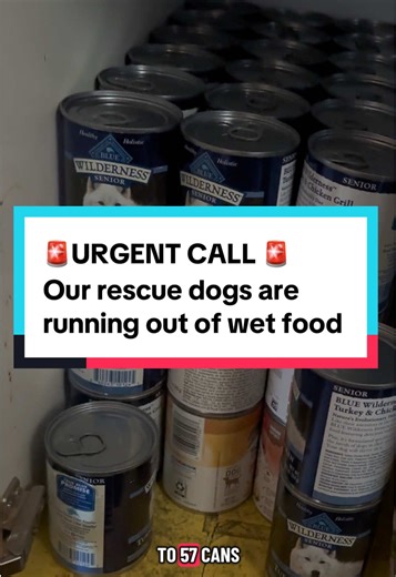 Our 11 rescue dogs are running VERY low on wet food. They’ve got just about 12 days worth of meals left! Because we rescue senior, special needs, and hospice dogs, most of which are practically toothless, we rely on wet food (pate) because they can’t chew on kibble. If you’re able to donate at least one can, check out our wishlist/donation links below and in our bio to help. BOOSTING this post is free and very helpful too! Wishlists: https://www.oldsouls.org/wishlists Donations: https://www.olds