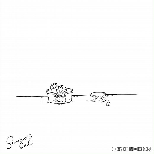 111K views · 10K reactions | Nap all day and all of the night... Pre-Order the purrfect nap companion here: https://www.simonscatgoodies.com/listing/sleepybean | Simon's Cat | Facebook