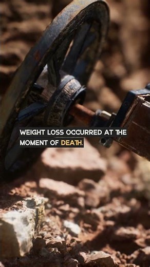 The Scientist Who Tried to Weigh the Human Soul ⚖️ Can It Be Measured? weighed doctor