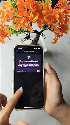 How to Turn On iCloud Keychain for Password Sync on iPhone 🔒📱