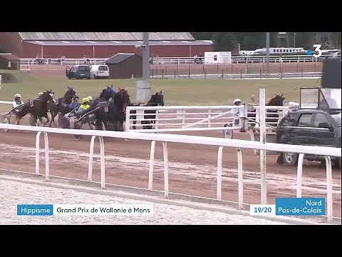 Le monde des courses hippiques avec le Grand Prix de Wallonie, à Mons