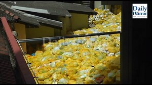 2.6K views · 14 reactions | Clinical waste were dumped behind the Epilepsy centre in Colombo National Hospital since last month causing health issues, Daily Mirror learned. - https://goo.gl/iQBfCZ | Daily Mirror | Facebook