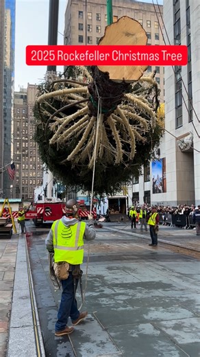 4M views · 32K reactions | 2025 Rockefeller Christmas Tree. Somewhere in my memory…. Manhattan, New York City | NYC Storytime | Facebook
