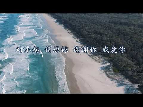 对不起，请原谅，谢谢你，我爱你。（四句曲 CW-MV）