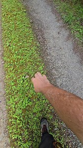 Frumos ! | George Moldovan