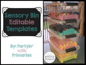Sensory Bin Creation