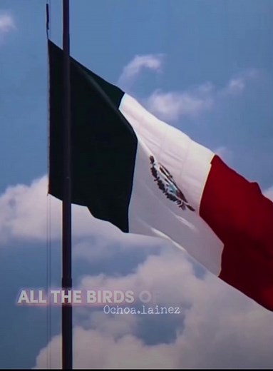 Exploring the Vibrant Mexican Culture: Festivals, Food, and Traditions