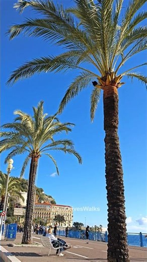 Nice 📍 Côte d'Azur 🌴🌊