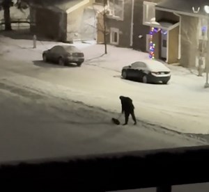 165K views · 8.9K reactions | He just wanted to help 﫶 | ARK Media | Facebook