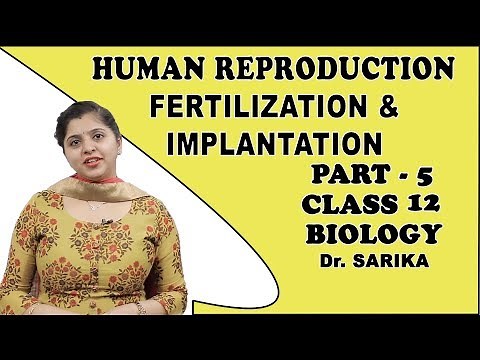 Human Reproduction | Fertilization And Implantation | Class 12 Biology | iWiz Sarika