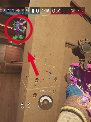 What on Earth: Exploring the Chomper Meme