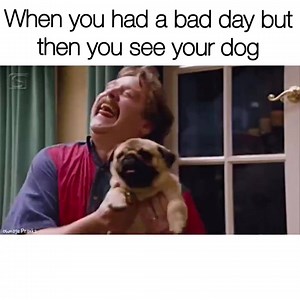 56K views · 786 reactions | Roll on home time  | RSVP Magazine | Facebook