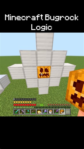 Minecraft Bugrock Logic...😱 | SP4RK OG