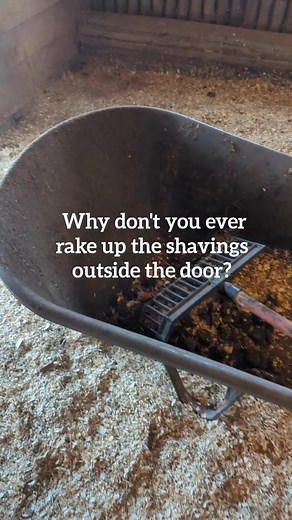 1.8K views · 21 reactions | My supervisor makes the rules | Suzanna Roberts | Facebook