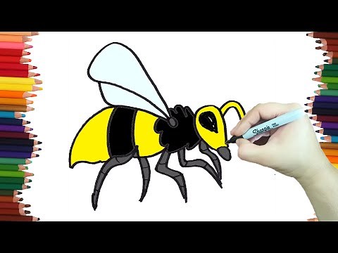 How to draw a WASP