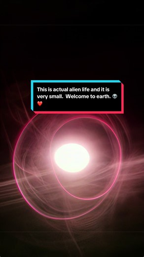 This is actual alien life and it’s very small. As far as I know, there could be power civilizations, and every one of these lights right here. Beautiful. Welcome to earth. Something wonderful is here and I can prove it. Around the world, there are alien avatars that are simulations approximate one percent of all animal and plant life on the planet are alien There is a universe welcome wagon here it’s more than just one planet. They access our world via avatars they can see and hear everything be