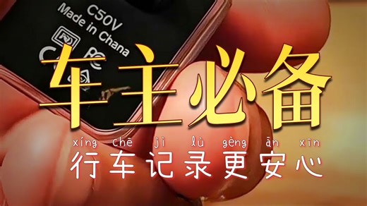 【行车记录仪U盘推荐】雷克沙Lexar 256GB USB3.2车载专用U盘｜C50V高耐久循环录影Type-C双接口｜贴合多车型原车主机｜极寒高温稳定读写