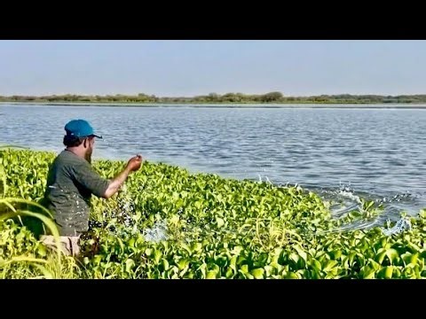 Fishing ✅ New Fishing Idea || Fishing video || Hand made Fishing tips and techniques