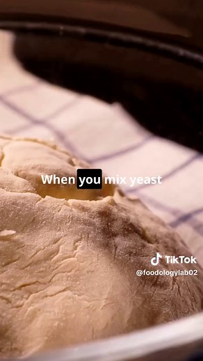 The Science Behind Bread Baking 🍞🔬 Discover the magic behind bread making in this captivating video! 🍞 Learn how yeast serves as the crucial ingredient, acting like tiny bakers in your dough. Dive into the fascinating fermentation process where yeast consumes sugar and releases carbon dioxide, making your dough rise like never before. And don't miss out on understanding gluten's vital role – acting as a stretchy net that holds the gas bubbles in place, giving bread its perfect chewy texture.