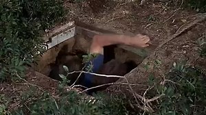 The Truth About Spring (1964) Hayley Mills, John Mills, James MacArthur