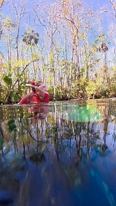 Sunbeam dance 💃 Video by @jennacitrus Mask @cressi1946 Fins @jblspearguns & @leaderfins Camera @dji Action Pro 5 #sinkhole #freediver #freediving #underwater | Coralia Dives