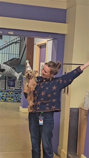 Adopting a Senior Foster Dog in Need of Care